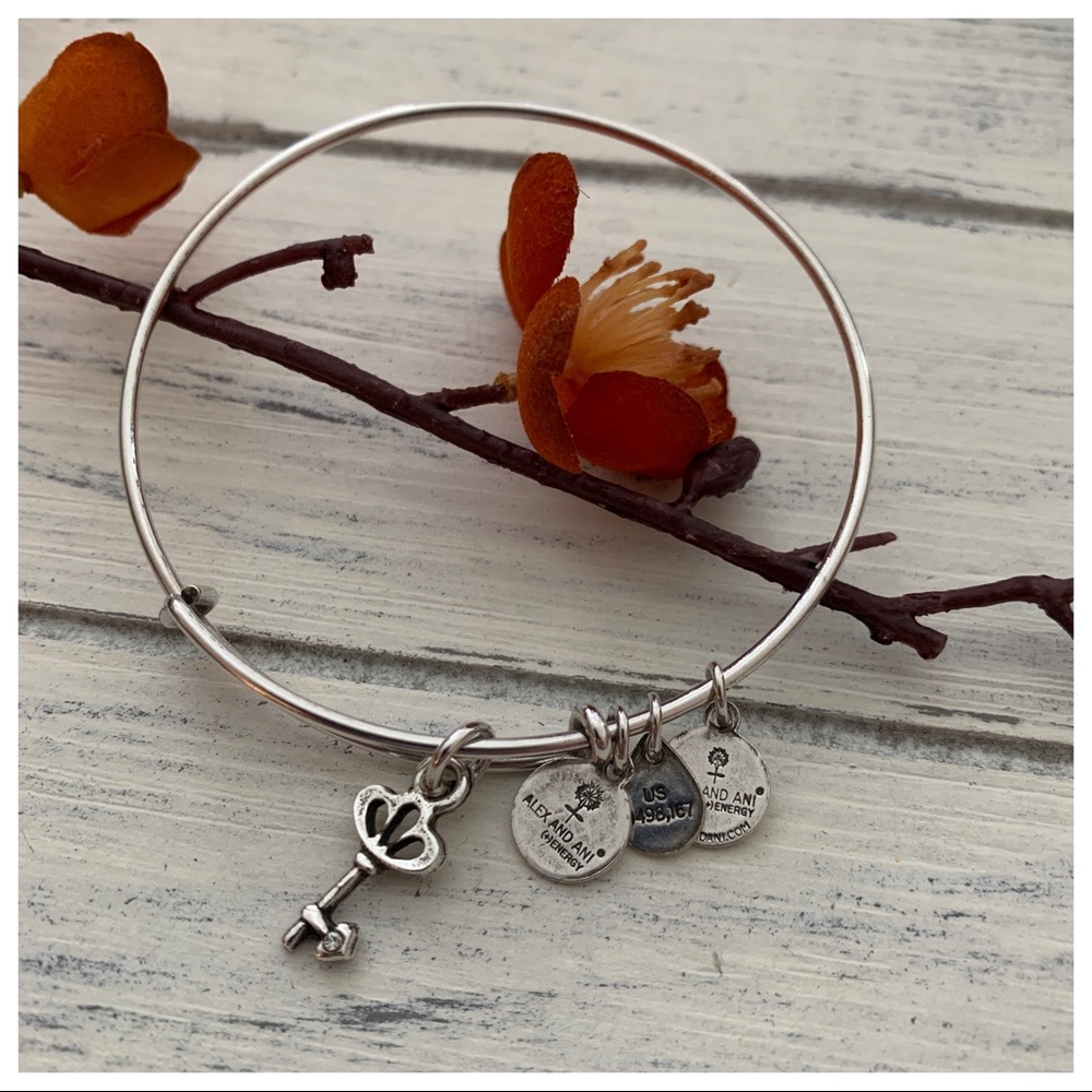 Alex and Ani Skeleton Key Charm Bangle